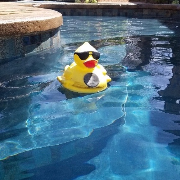 Dazzlingdeals Fun and Unique ITEMs - Picture 3 of 7